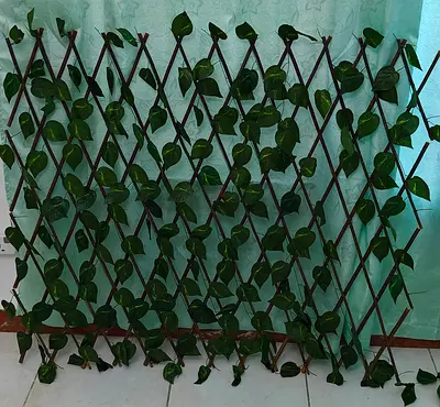 Expandable Wooden Garden Trellis with Artificial Vine - Used