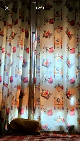 Curtain