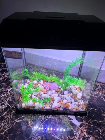 fish aquarium for sale!
