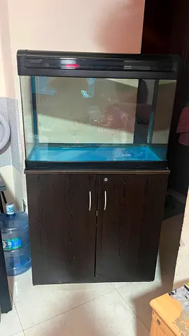Camry aquarium with wooden table