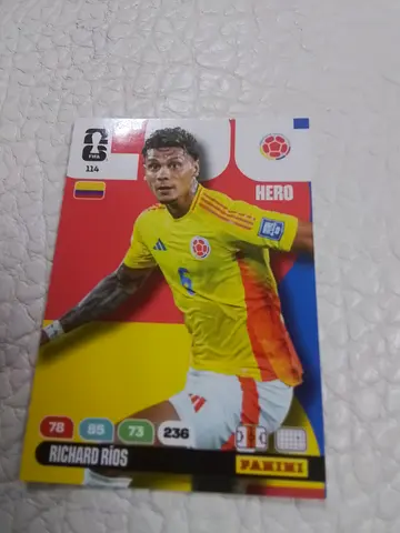 Panini