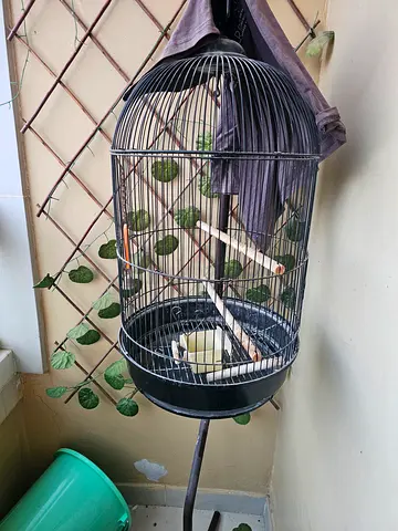 Round metal bird cage with stand - good condition