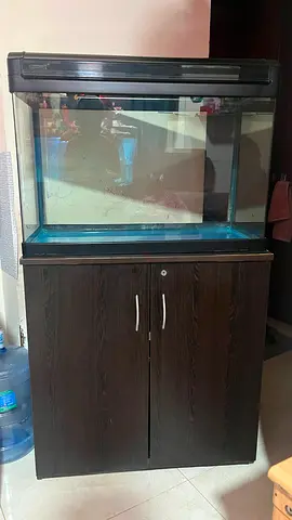 Camry Aquarium with Wooden Table