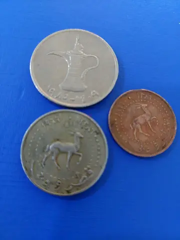 راس الخيمه