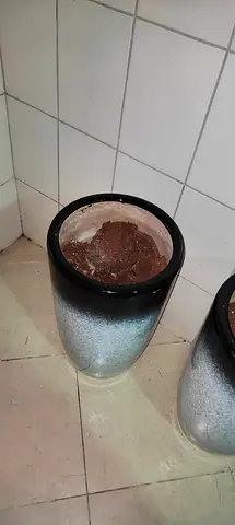 Two-Tone Ceramic Plant Pots