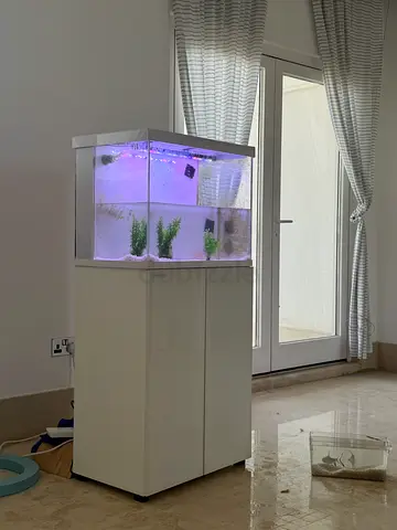 Small Aquarium Fish Tank with White Stand - Good Condition