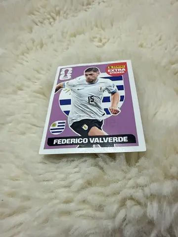 panini pink Federico Valverde extra sticker