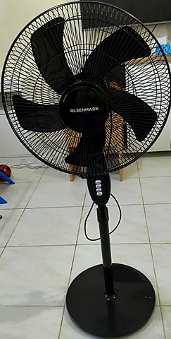 Fan