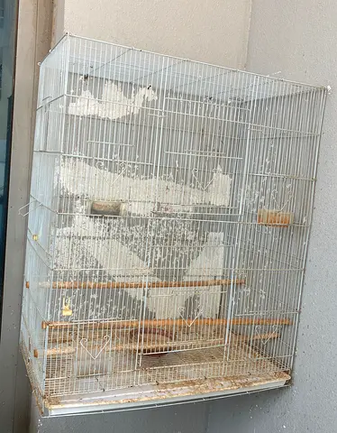 2 bird Cages for sell