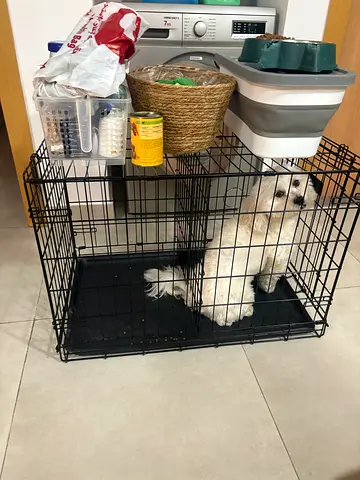 MidWest iCrate Pet Crate 1530