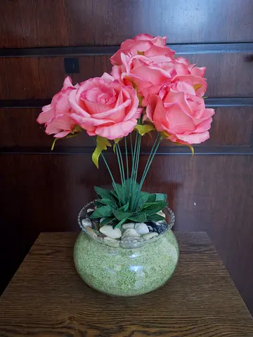 Showpiece plant
