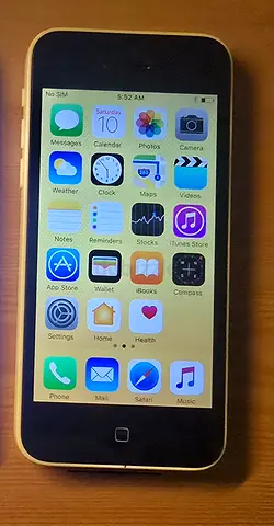 iPhone 5s (Used) - Good Working Condition