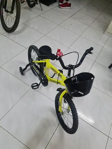 THUNDERBIRD CYCLE FOR SALE