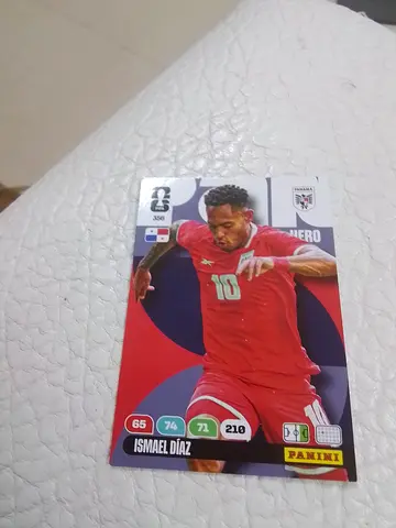 Panini card