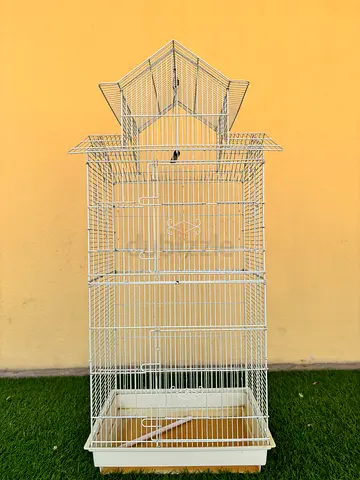 Birds Cage