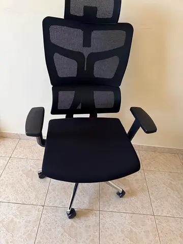 Ergonomic Mesh Office Chair with Headrest — Good Condition