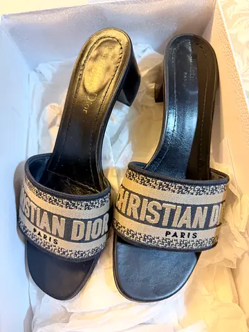 Dior slides