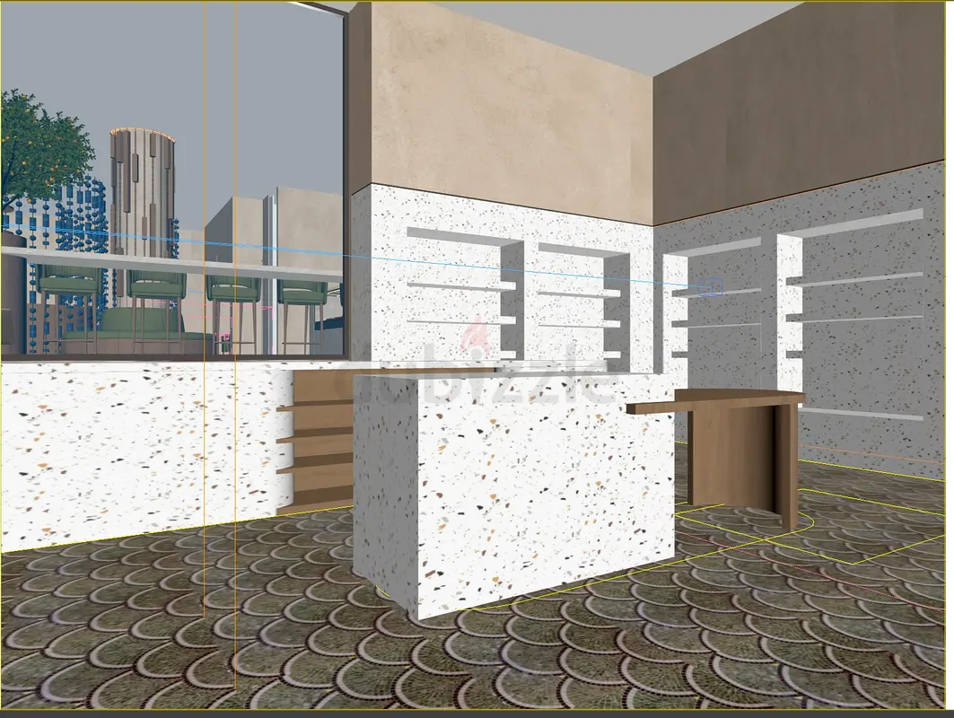 DPV_View_Image_1