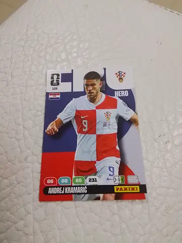 Panini