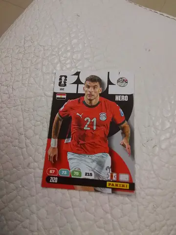 Panini