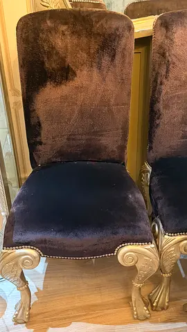 Dining chairs from china