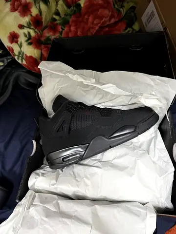 Air Jordan 4 black cat