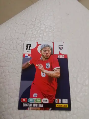Panini card