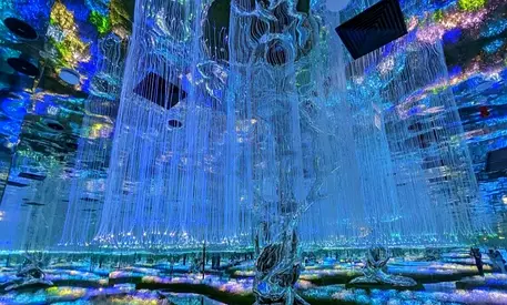 Immersive LED Fiber-Optic Art Installation Panel (Exhibit Photo)