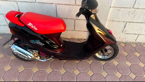 الظيت الجنوبي
