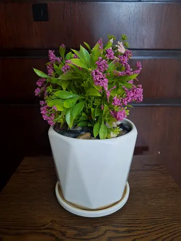 Artificial plant for sale