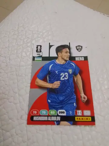 Panini