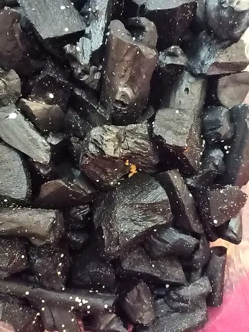 Live Springtails for Bioactive Terrariums
