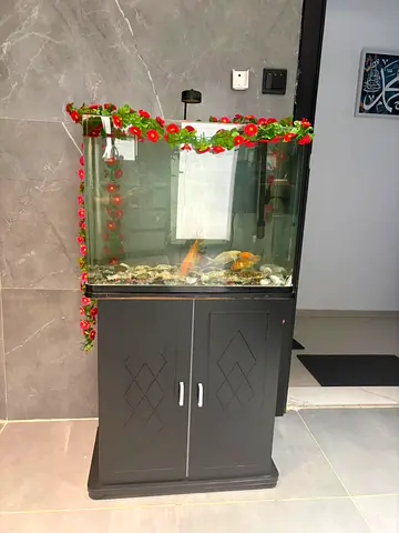 Large Glass Fish Aquarium with Black Wooden Cabinet - 550 dhm