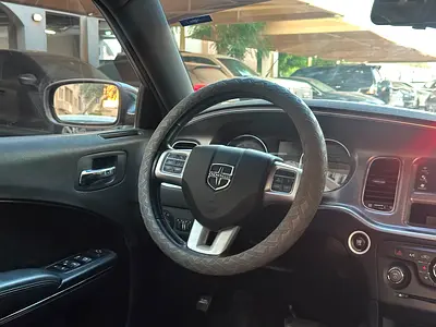صورة 9 لـ 2014 Dodge CHARGER
