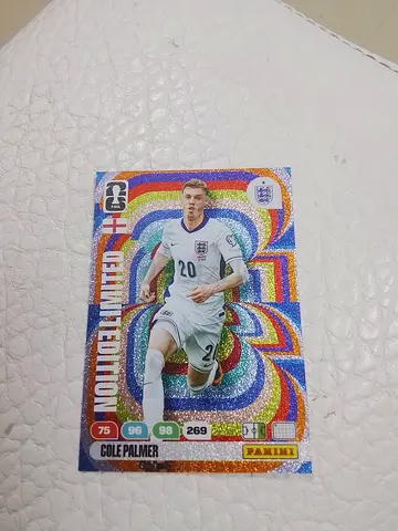 Panini