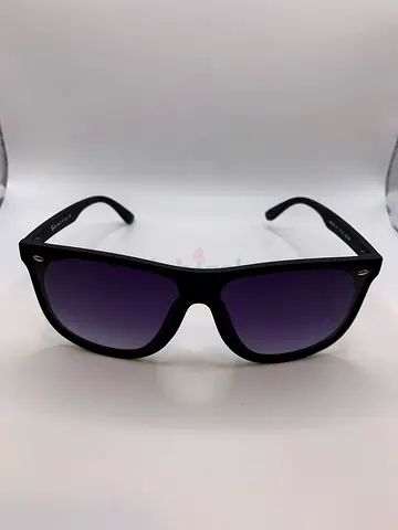 Ray-Ban 4447 sunglasses