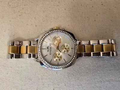 Women Watch brand COACH