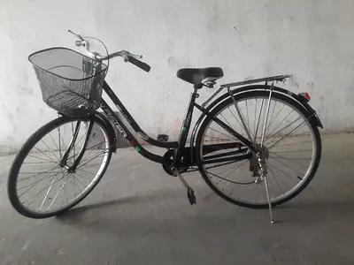 FAST Gearless cycle AL AIN