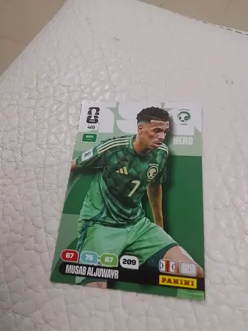 Panini