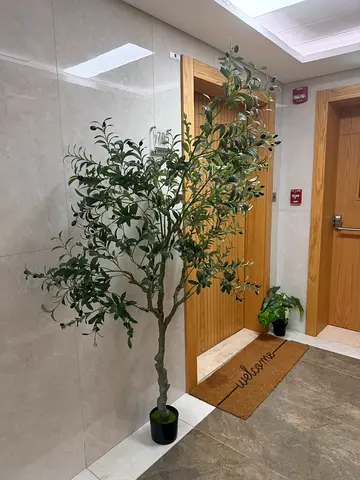 Decorative Artificial Olive Tree in Black Pot