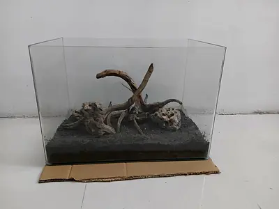 Aquarium