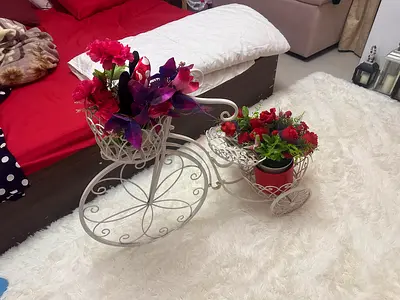 Decorative White Metal Bicycle Plant Stand with Pots