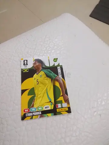 Panini card