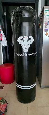 Boxing Punch Bag with Chains - Almost Free