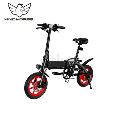 Wind Horse Electric Scooter 350W 50KM Range 35KM Speed, C19