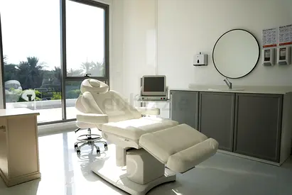 Electric Beauty Treatment Bed