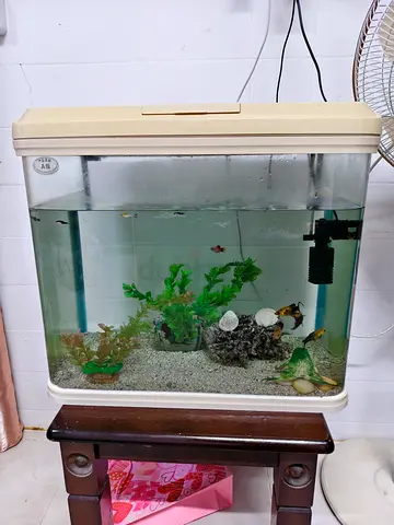 Used 90L Home Aquarium Tank with Fish,Filter and Decorations