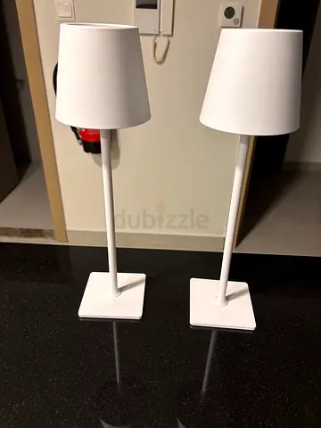 Portable LED Desk Lamp