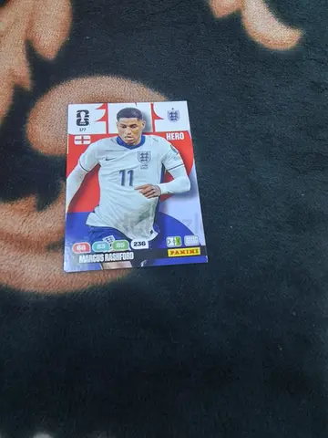 Panini
