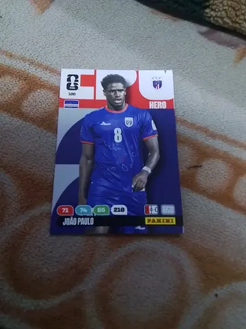 Panini